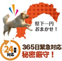 高知県下一円お任せ、24時間対応・365日緊急対応・秘密厳守